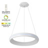 Forma LED Visilica PL6007-140V