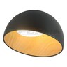 Forma LED plafonska lampa FK2001-24C BK