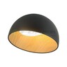 Forma LED plafonska lampa FK2001-24C BK
