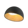 Forma LED plafonska lampa FK2001-24C BK