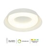 Forma LED plafonska lampa FK2006-38C WH