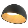 Forma LED plafonska lampa FK2001-36C BK