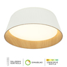 Forma LED plafonska lampa FK2003-62C WH