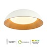 Forma LED plafonska lampa FK2005-66C WH