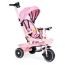 ECO TOYS 2u1 tricikl sa rotirajućim sedištem i sklopivom tendom Pink, WQL-066-18 PINK