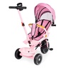 ECO TOYS 2u1 tricikl sa rotirajućim sedištem i sklopivom tendom Pink, WQL-066-18 PINK