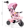 ECO TOYS 2u1 tricikl sa rotirajućim sedištem i sklopivom tendom Pink, WQL-066-18 PINK