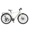 MS ENERGY eBike c40