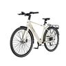 MS ENERGY eBike c40