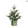 Dekordom Novogodišnja dekoracija - pine tree in pot 36cm 1183568 - edl 044651