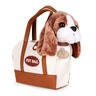 ECO TOYS Plišana igračka za decu, štene Beogle, torba + četka za negu HC750228