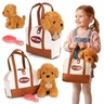 ECO TOYS Plišana igračka za decu, štene Brown Poodle, torba + četka za negu HC750227