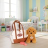 ECO TOYS Plišana igračka za decu, štene Brown Poodle, torba + četka za negu HC750227