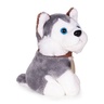 ECO TOYS Plišana igračka za decu, štene Husky, torba + četka za negu HC750229