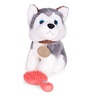 ECO TOYS Plišana igračka za decu, štene Husky, torba + četka za negu HC750229