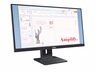 Monitor LENOVO ThinkVision E24-40 23.8", IPS, FHD, 100Hz, 4ms, HDMI, DP, VGA, Swivel, Pivot