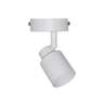 Osram primal bela spot lampa 1xgu10 4099854587429e