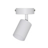 Osram bela spot lampa 1xgu10 4099854587627e