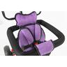 Winner Bike Bicikl 6388b trike purple Bck0906