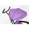 Winner Bike Bicikl 6388b trike purple Bck0906
