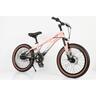 Winner Bike Bicikl 20" ql-pink Bck0800