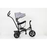 Winner Bike Bicikl hh-6388 trike grey Bck0326