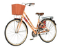 Braon  mocha ženska bicikla -fas281f 1282003