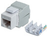 Modul RJ45 Intellinet 167062 Cat6/tool-less/568B 2-1/beli