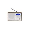 DENVER DAB-46 RADIO FM BELI