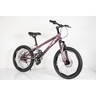 Winnerbike Dečiji bicikl 20/1-tn24q22-purple Bck0407