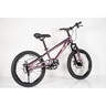 Winnerbike Dečiji bicikl 20/1-tn24q22-purple Bck0407