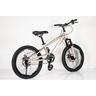 Winnerbike Dečiji bicikl 20/1 -tn24q22- champagne/pink Bck0408