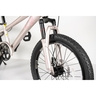 Winnerbike Dečiji bicikl 20/1 -tn24q22- champagne/pink Bck0408