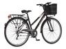 Bicikl tour explorer axys lady 28" alu 18" v-brake  6 brzina 155-178cm (s/m) braon crni 1282090