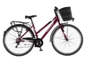 Bicikl tour explorer axys lady 28" alu 18" v-brake  6 brzina 155-178cm (s/m) bordo perla uv sjaj 1282104