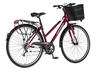 Bicikl tour explorer axys lady 28" alu 18" v-brake  6 brzina 155-178cm (s/m) bordo perla uv sjaj 1282104