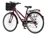 Bicikl tour explorer axys lady 28" alu 18" v-brake  6 brzina 155-178cm (s/m) bordo perla uv sjaj 1282104