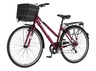 Bicikl tour explorer axys lady 28" alu 18" v-brake  6 brzina 155-178cm (s/m) bordo perla uv sjaj 1282104