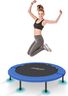 Physionics Fitnes trambolina 102 cm