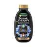 Garnier Botanic Therapy Magnetic Charcoal šampon za kosu 400ML