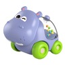 IGGY ZIGGY: HIPPO AUTIĆ