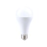 Rabalux LED sijalica SMD-LED 79109