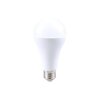 Rabalux LED sijalica SMD-LED 79117
