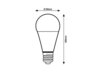 Rabalux LED sijalica SMD-LED 79035