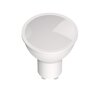 Rabalux LED sijalica SMD-LED 79082