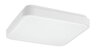 Rabalux LED ploča Alenzo 71422
