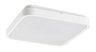 Rabalux LED ploča Alenzo 71422
