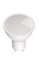 Rabalux LED sijalica SMD-LED 79132