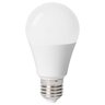 Rabalux LED sijalica SMD-LED 79092