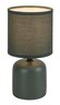 Rabalux Stona lampa Daphni 74055